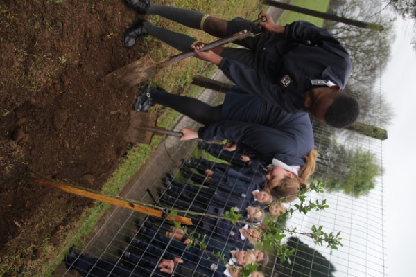 Arbor Day at Laddsworth